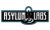 Asylum Labs Casino Games
