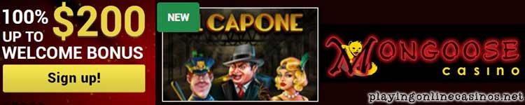 Australian multi software online casino