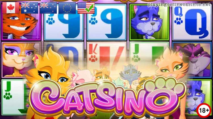 Catsino slot new bonus codes
