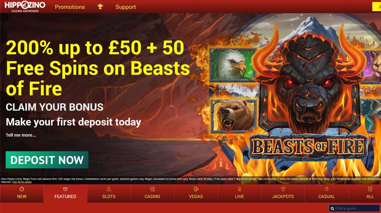 hippozino casino lobby